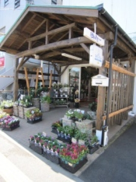 「フラワーショップ　はなまさ」　（神奈川県中郡二宮町）の花屋店舗写真1