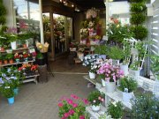 「フラワーショップ　はなまさ」　（神奈川県中郡二宮町）の花屋店舗写真3