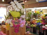 「フラワーショップ　はなまさ」　（神奈川県中郡二宮町）の花屋店舗写真2